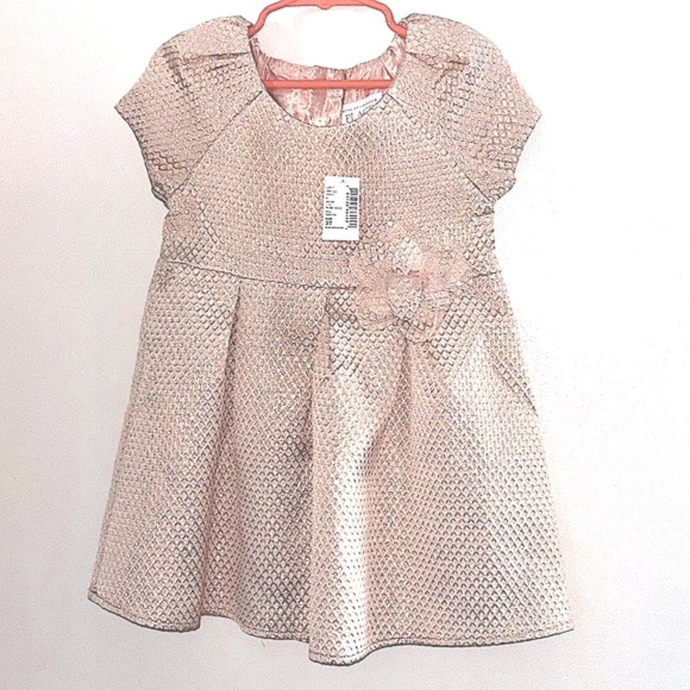 Rose Gold Dress